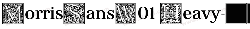 MorrisSansW01 Heavy字体转换